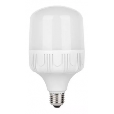 LAMPARA LED  50 W. 6500 K. E27/E40-FRANCE